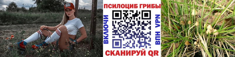 Псилоцибиновые грибы Magic Shrooms  купить  сайты  Крым 